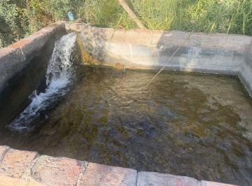 Campo · 7ha · Exclusiva Finca con Pozo Surgente, Propio