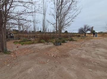 Terreno · 50000m² · Alquiler Finca 50 Ha en Rivadavia
