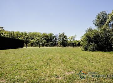 Terreno · 1900m² · Terreno de 1900 m² en Martindale C. C