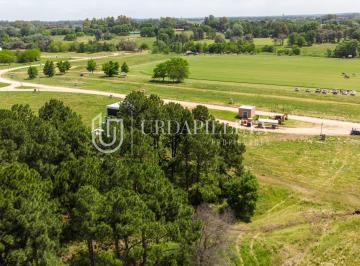 Terreno · 1226m² · Terreno en Venta en Pilara