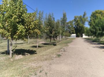 Terreno · 1700m² · Lote Venta Chacras de Coria Lujan