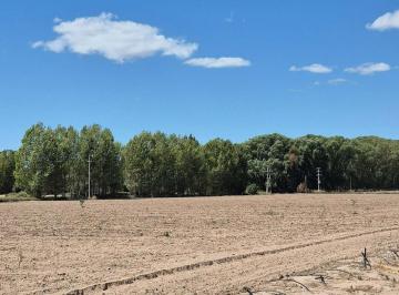 Campo · 200ha · Venta de Finca en San Carlos