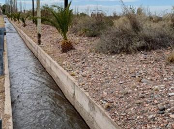 Terreno · 17000m² · Campo en Cruz de Piedra Maipu Apto Para Cultivo