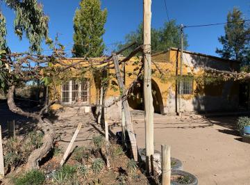 Campo · 79ha · Venta Finca 79 Ha - San Martin - Mendoza