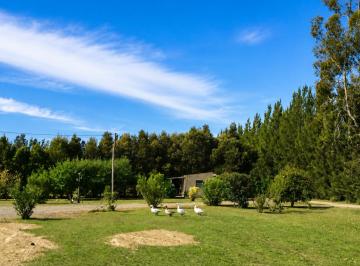 Campo , La Plata · Fracción de 16,59 Ha en Venta | Galpón + Casa | Villa Parque Sicardi, La Plata