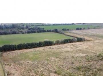 Terreno · 254970m² · Venta 25 Hectáreas Granadero Baigorria