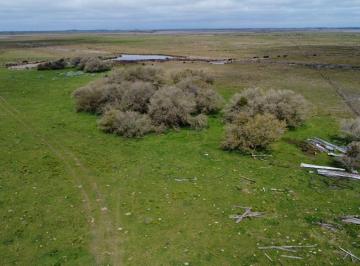 Campo · 249ha · Campo Venta Gral. Lavalle 249 Ha - Sobre Asfalto