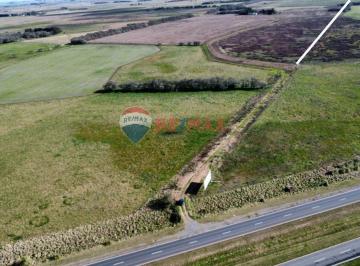 Campo · 150ha · Campo Venta 32 Ha en General Madariaga
