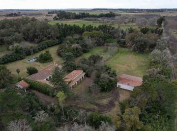Campo · 900ha · Venta Estancia La Francesa Brandsen/campo Mixto