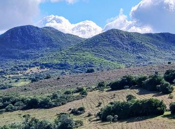 Campo · 6ha · Chacra en Venta Entre Ruta 12 y Ruta 60