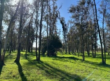 Terreno · 3000m² · Chacras en Venta de 3.000 m² en Chacras del Rincón