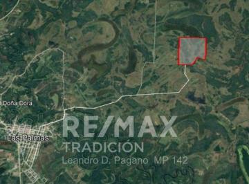 Campo · 99ha · Campo Ganadero en Venta 99 Has Mongay, Las Palmas