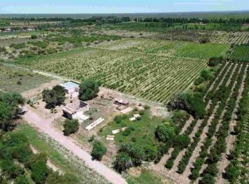 Campo · 60000ha · Venta de Campo, Santa Rosa, Las Catitas Mendoza