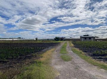 Campo · 70ha · Campo en Venta La Plata, Arana.