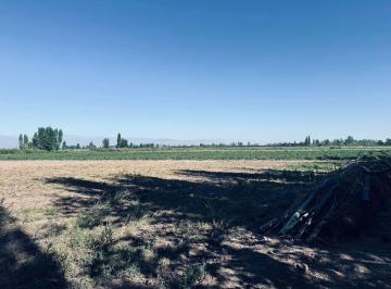 Campo , Lavalle · Venta de Finca. Villa Tulumaya. Lavalle. Mendoza.