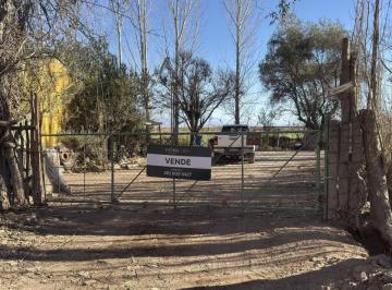 Campo , Villa Tulumaya · Venta de Finca. Villa Tulumaya. Lavalle. Mendoza.
