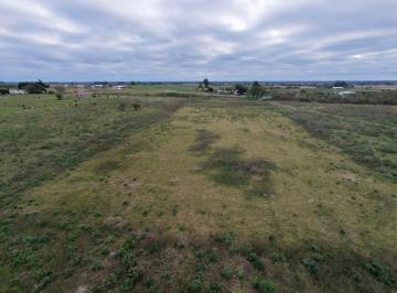 Campo · 2ha · Campo de 2.5 Ha en Venta Col San Antonio Goya Ctes
