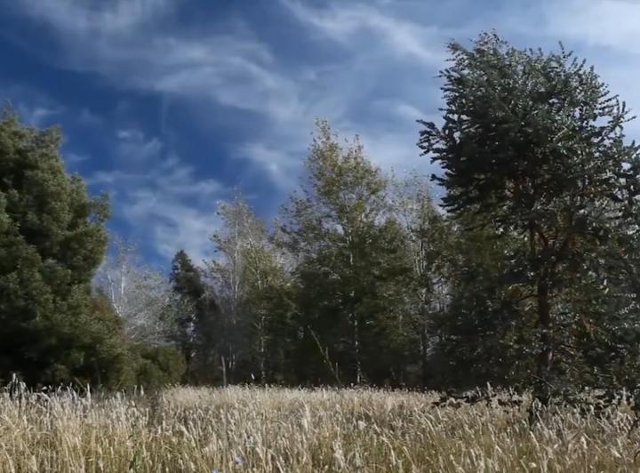 Terreno · 450ha · 6 Ambientes