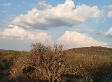 Campo , San Francisco del Chañar · Oportunidad Campo 500 Ha!