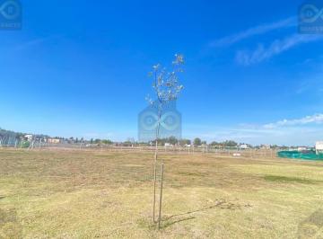 Terreno · 559m² · Terreno Lote en Venta en Santa Lucia, Pilar del Este, G. B. a. Zona Norte