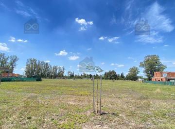 Terreno · 532m² · Terreno Lote en Venta en Santa Sofía, Pilar del Este, Pilar