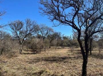 Terreno · 604m² · Lote con Arboles Nativos en Villa Rio Anisacate