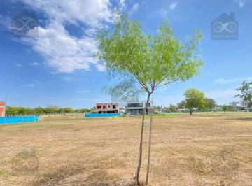 Terreno · 493m² · Terreno Lote en Venta en Santa Sofía, Pilar del Este, Pilar