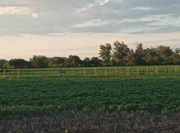 Campo · 9ha · Campo Agrícola en Monte Vera