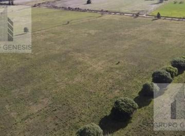 Terreno · 75000m² · Terreno en Marcos Paz