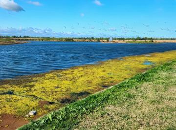 Terreno · 973m² · Venta Lote Al Lago Barrio Amarras Puertos del Lago Escobar