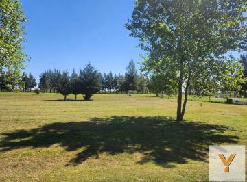 Terreno · 1800m² · Terreno en Venta - 1800 m² - Fincas de San Vicente