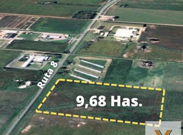 Campo · 96852m² · Campo en Venta - 96.852 m² - Colón