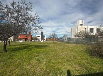 Terreno · 730m² · Terreno en Venta Villa Catalina