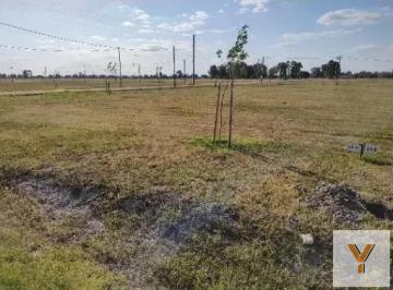 Terreno · 650m² · Terreno en Venta - 650 m² - Finca Joven