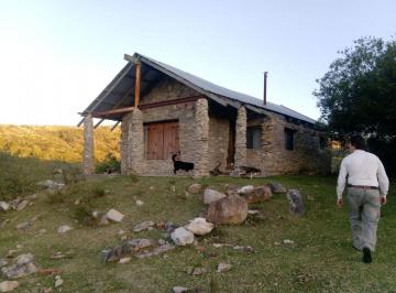 BPV-BPV-11346_2 · 0 Ambientes 0 Dorm. | Ref: 11346