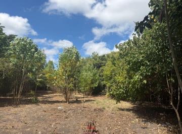 Terreno , Exaltación de la Cruz · Venta · Lote en Venta de 761 m² · Arbolado · Barrio Parque Sakura