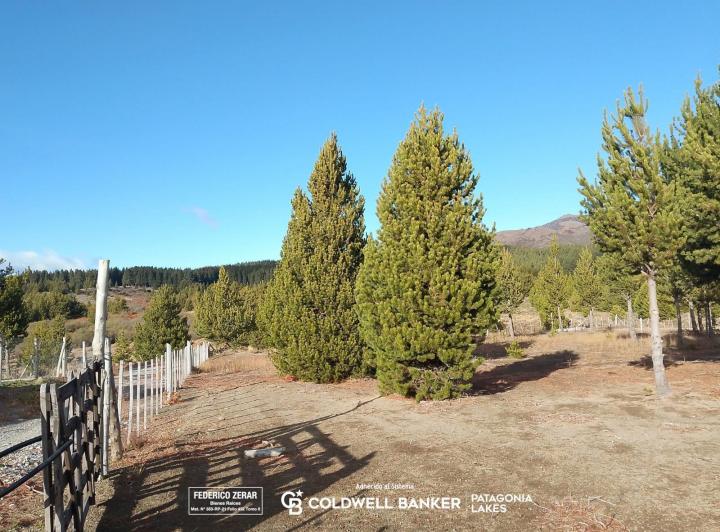 Terreno · 5000m²