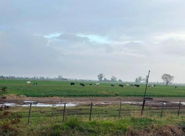 Campo · 1227ha · Campo Mixto en Alquiler en Tostado Santa Fe
