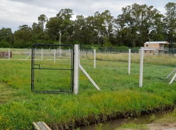 Terreno · 250m² · Terreno en Venta - 250 m² - Abasto