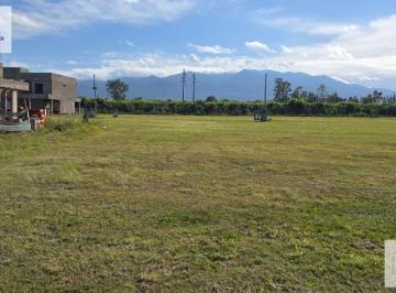 Terreno · 350m² · Terreno en Los Nogales