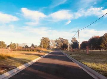 Terreno · 375m² · Terreno en Venta - 375 m² - Zelaya