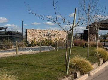 Terreno , Vistalba · Terreno en Isla | Terrazas Park, Vistalba