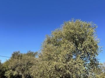 Terreno , Santa Rosa de Calamuchita · Terrenos en Venta - Costa Río Santa Rosa - Barrio La Rinconada 1555 m²