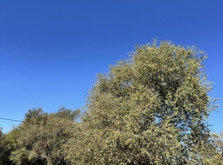 Terreno · 1500m²