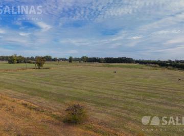 Campo · 62600ha · Chacra 100 % Agrícola en San Andrés de Giles.