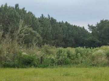 Terreno · 417m² · Opurtunidad Lote Desvio Arijon