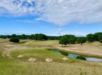 Terreno · 1000m² · Terreno en Venta - 1000 m² - Villa Robles, Pinamar