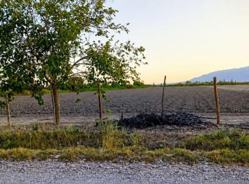 Terreno · 16252m² · Terreno 1.6 Ha Calle 8 y Tascheret. Pocito