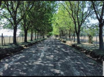 Terreno · 504m² · Terreno en Venta - 504 m² - Abasto, La Plata