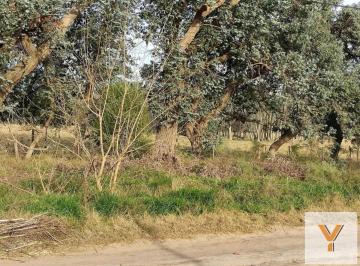 Terreno · 1264m² · Terreno en Venta - 1.264 m² - El Rodeo
